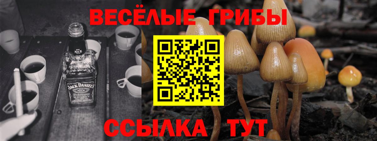 Коммунар  Псилоцибиновые грибы Magic Shrooms  Вход с VPN 